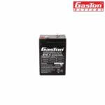 Gaston-6v-4ah Battery