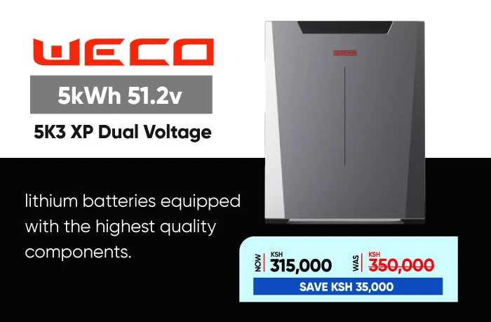weco-battery-5kw-5K3-XP-Dual-Voltage-in-kenya
